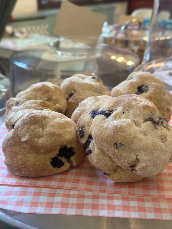 Freshly baked scones